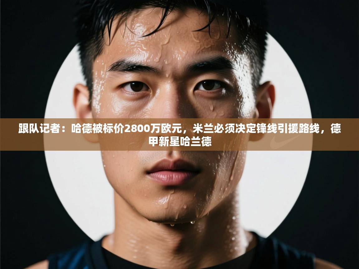 鲸蓝体育苹果-跟队记者:哈德被标价2800万欧元,米兰必须决定锋线引援路线,德甲新星哈兰德 第1张