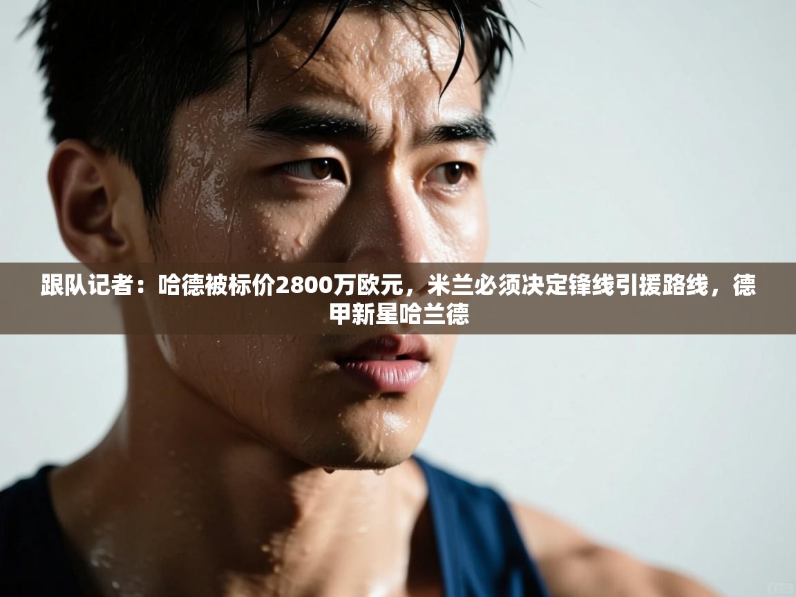 鲸蓝体育苹果-跟队记者:哈德被标价2800万欧元,米兰必须决定锋线引援路线,德甲新星哈兰德 第2张