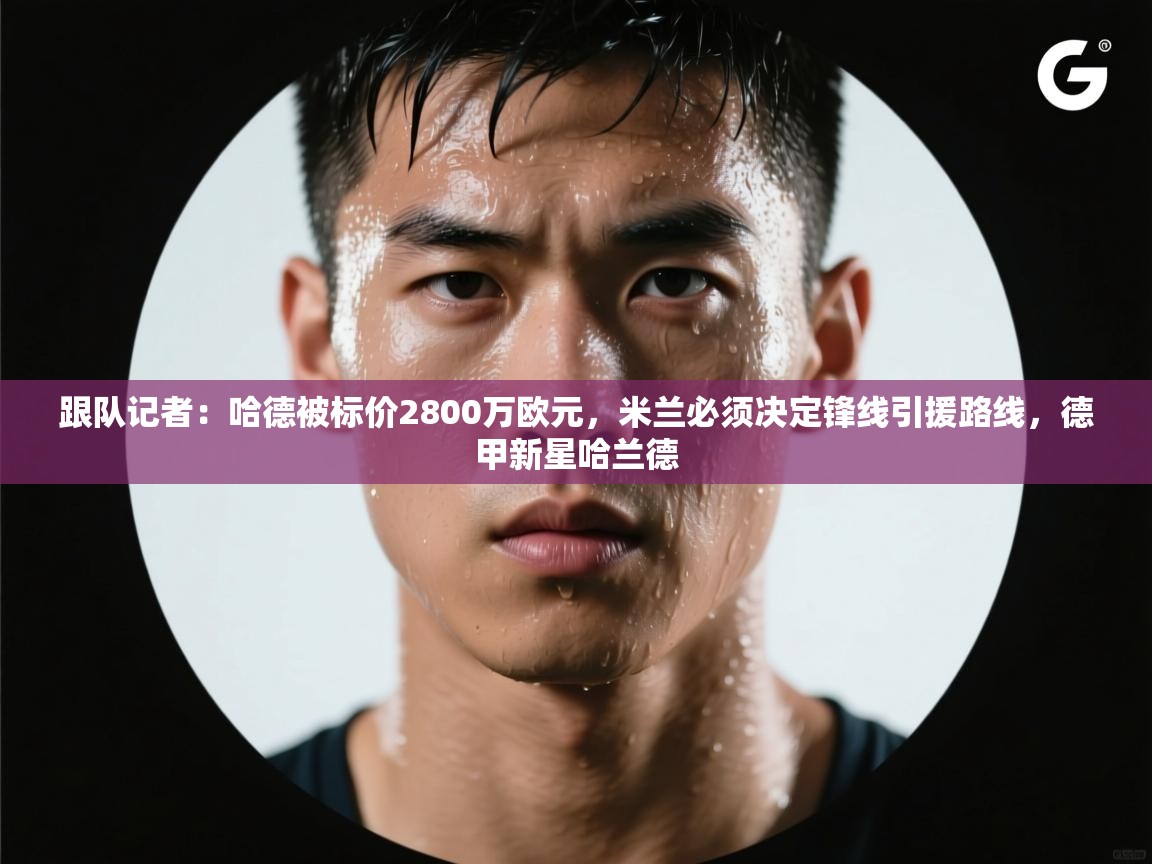 鲸蓝体育苹果-跟队记者:哈德被标价2800万欧元,米兰必须决定锋线引援路线,德甲新星哈兰德 第3张