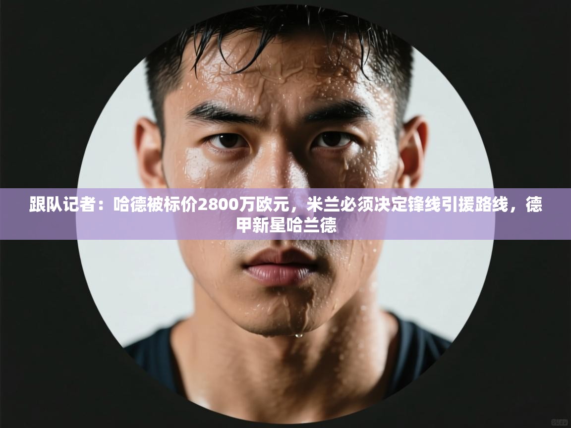 鲸蓝体育苹果-跟队记者:哈德被标价2800万欧元,米兰必须决定锋线引援路线,德甲新星哈兰德 第4张