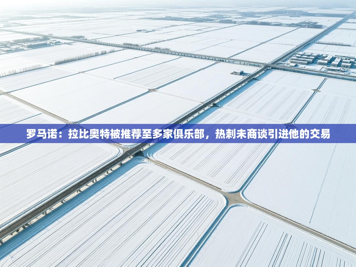 鲸蓝体育官网-罗马诺:拉比奥特被推荐至多家俱乐部,热刺未商谈引进他的交易 第1张