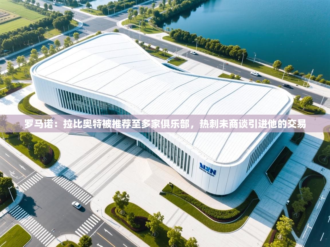 鲸蓝体育官网-罗马诺:拉比奥特被推荐至多家俱乐部,热刺未商谈引进他的交易 第3张