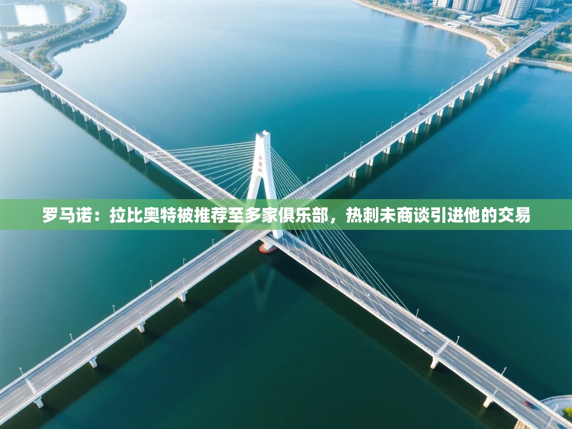 鲸蓝体育官网-罗马诺:拉比奥特被推荐至多家俱乐部,热刺未商谈引进他的交易 第2张