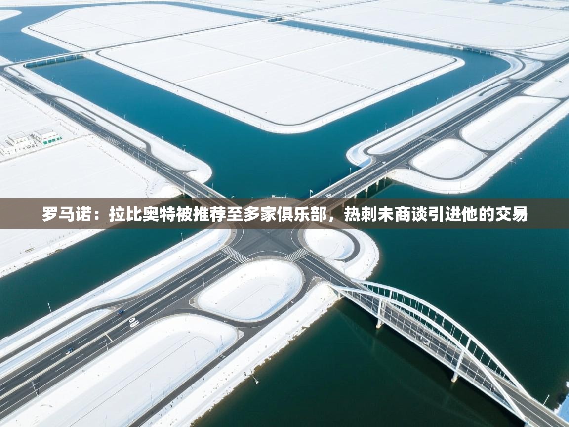 鲸蓝体育官网-罗马诺:拉比奥特被推荐至多家俱乐部,热刺未商谈引进他的交易 第4张