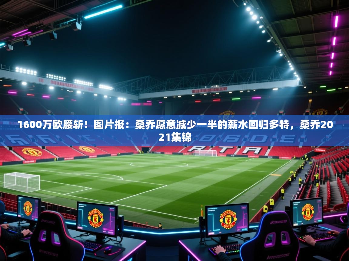 鲸蓝体育app-1600万欧腰斩!图片报:桑乔愿意减少一半的薪水回归多特,桑乔2021集锦 第2张