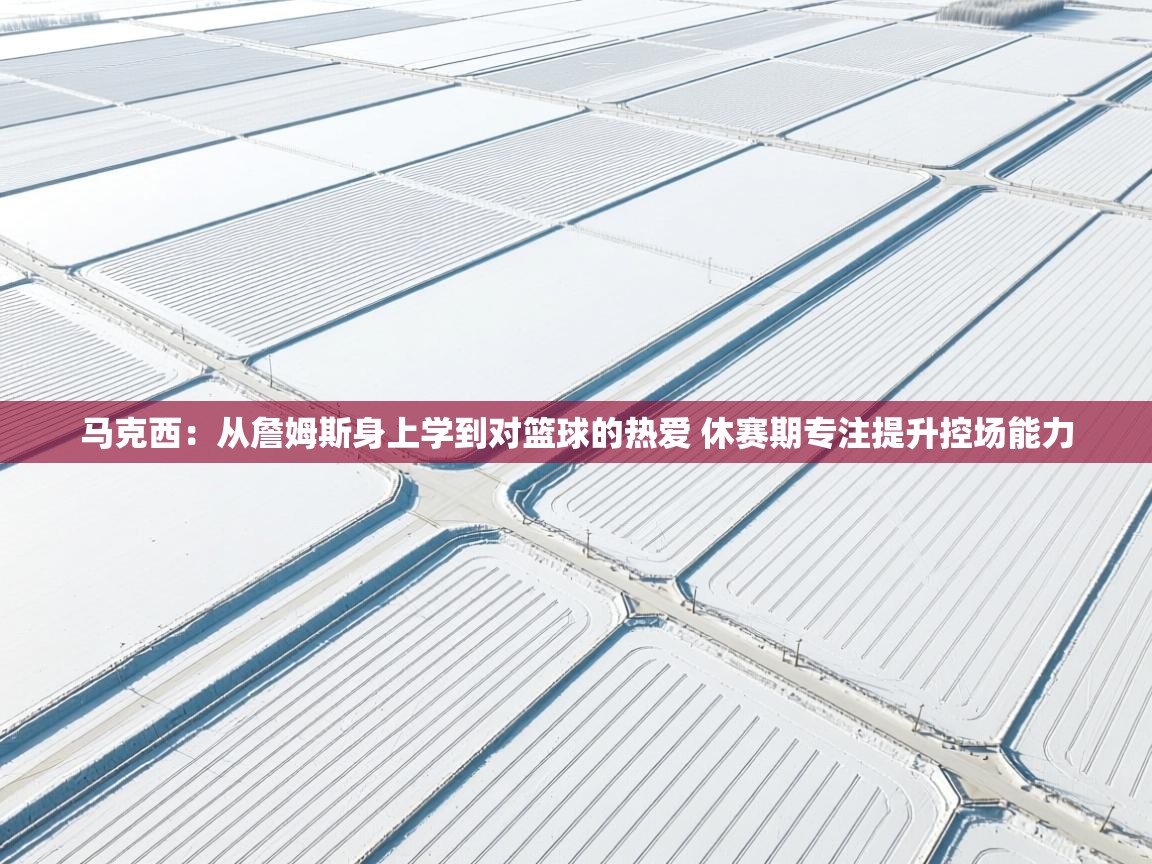 鲸蓝体育app-马克西:从詹姆斯身上学到对篮球的热爱 休赛期专注提升控场能力 第1张