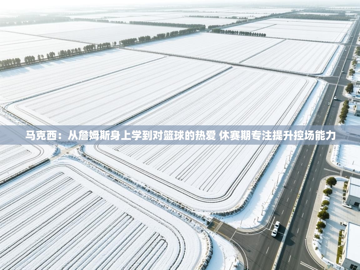 鲸蓝体育app-马克西:从詹姆斯身上学到对篮球的热爱 休赛期专注提升控场能力 第3张