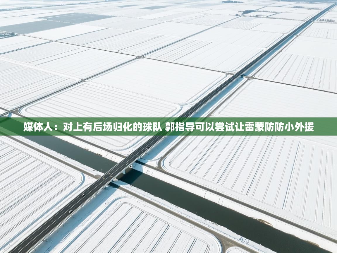 蓝鲸体育直播在线观看-媒体人：对上有后场归化的球队 郭指导可以尝试让雷蒙防防小外援  第4张