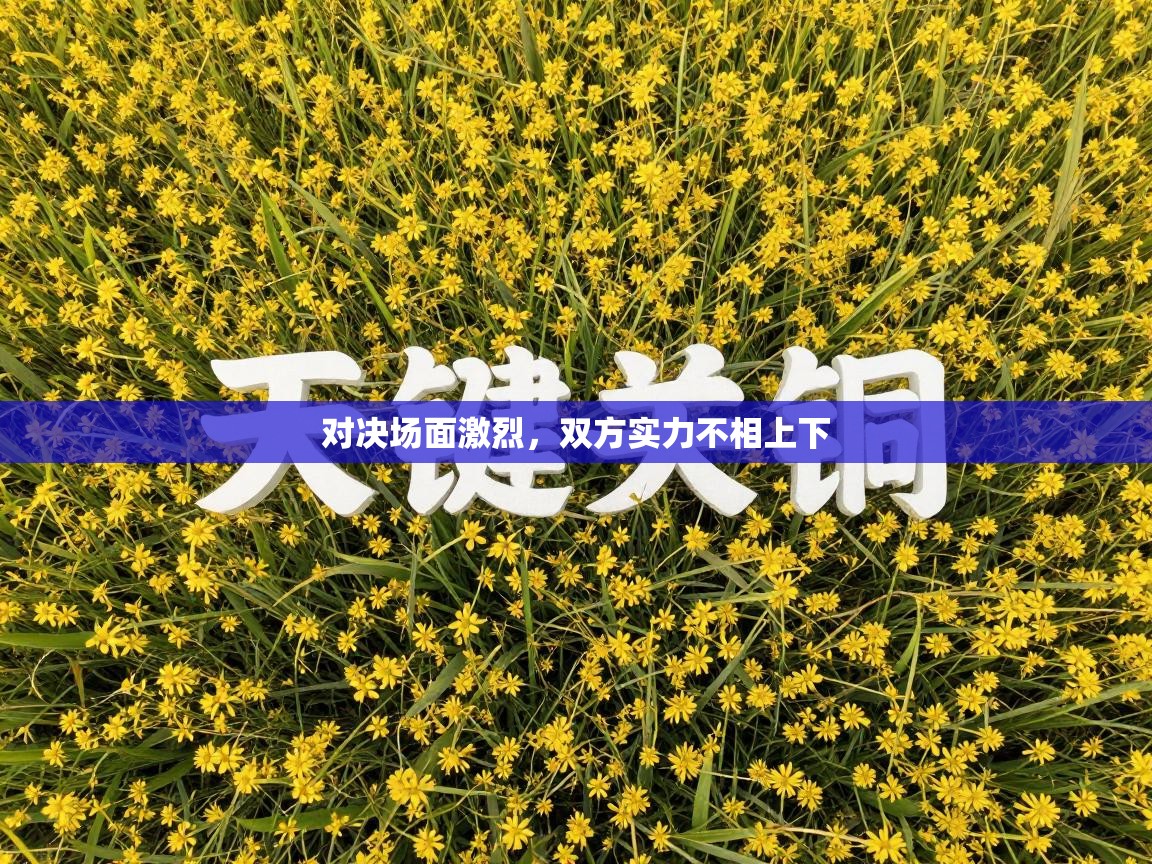 蓝鲸体育足球直播在线观看-对决场面激烈,双方实力不相上下 第1张