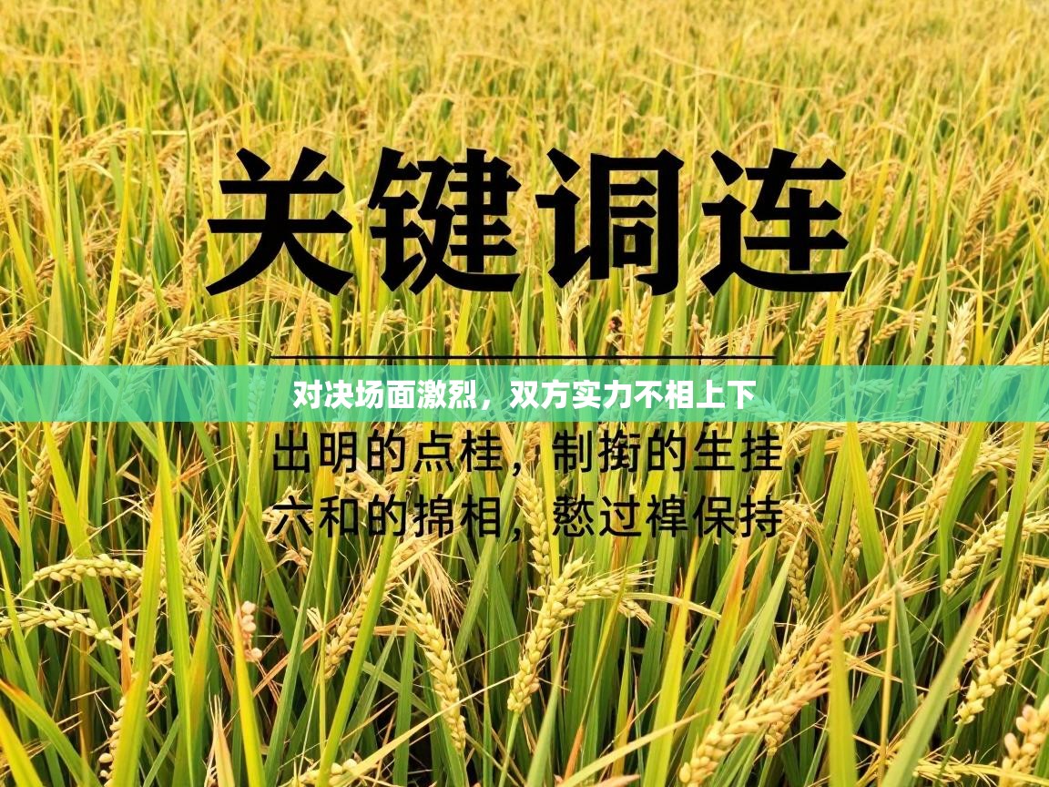 蓝鲸体育足球直播在线观看-对决场面激烈,双方实力不相上下 第4张