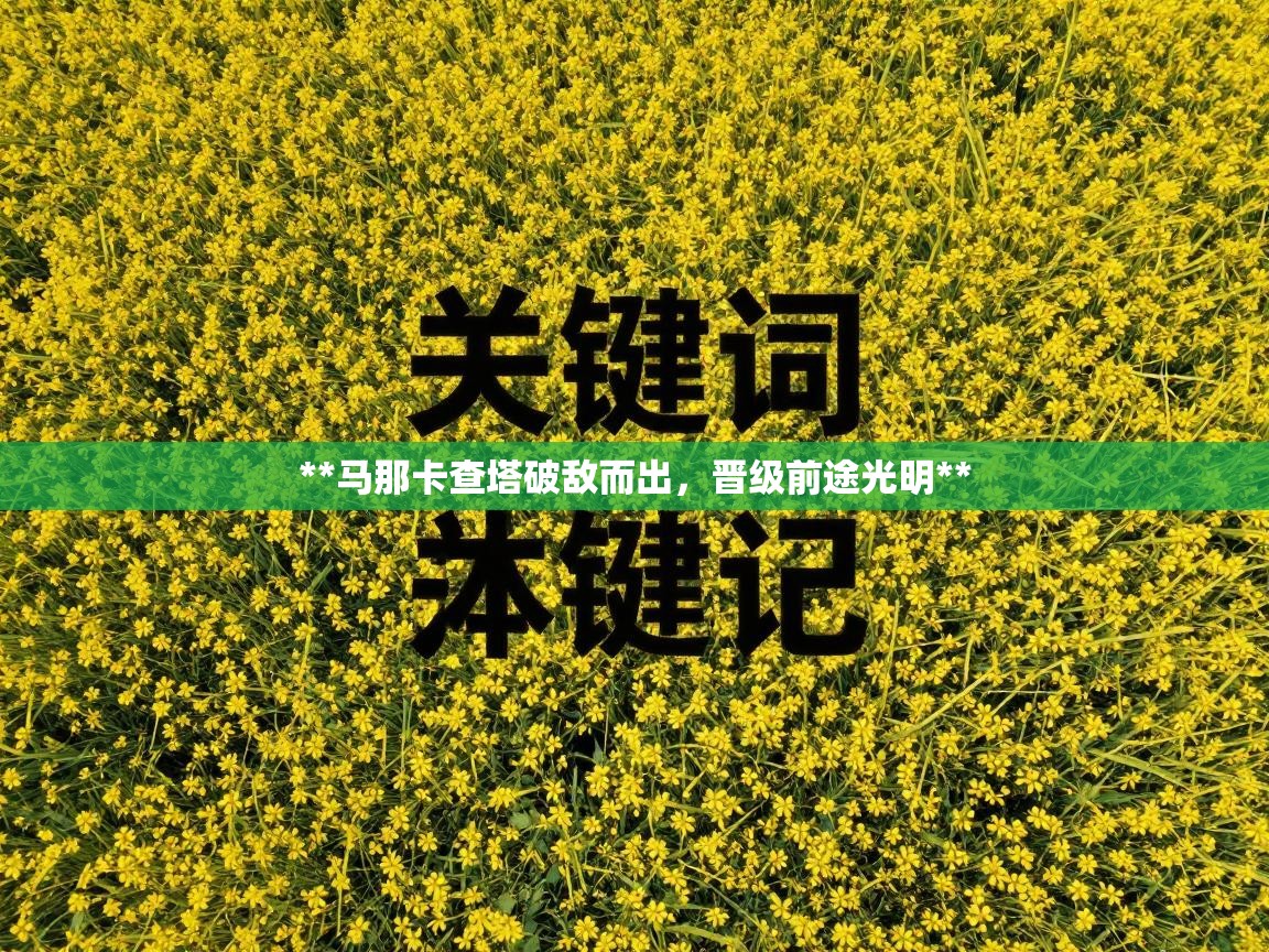 鲸蓝体育平台-**马那卡查塔破敌而出,晋级前途光明** 第4张