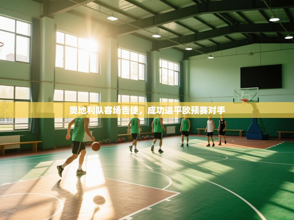 鲸蓝体育官网-奥地利队客场告捷，成功逼平欧预赛对手  第3张