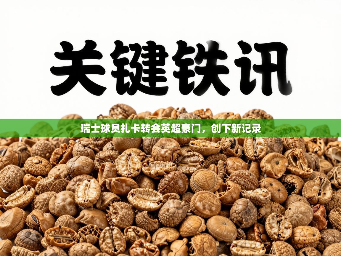 蓝鲸体育app官方入口-瑞士球员扎卡转会英超豪门，创下新记录  第2张