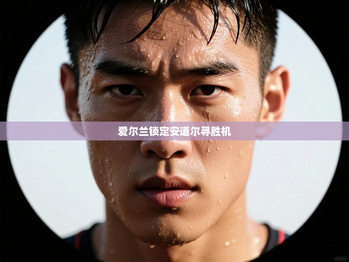 蓝鲸体育app下载官网-爱尔兰锁定安道尔寻胜机 第4张