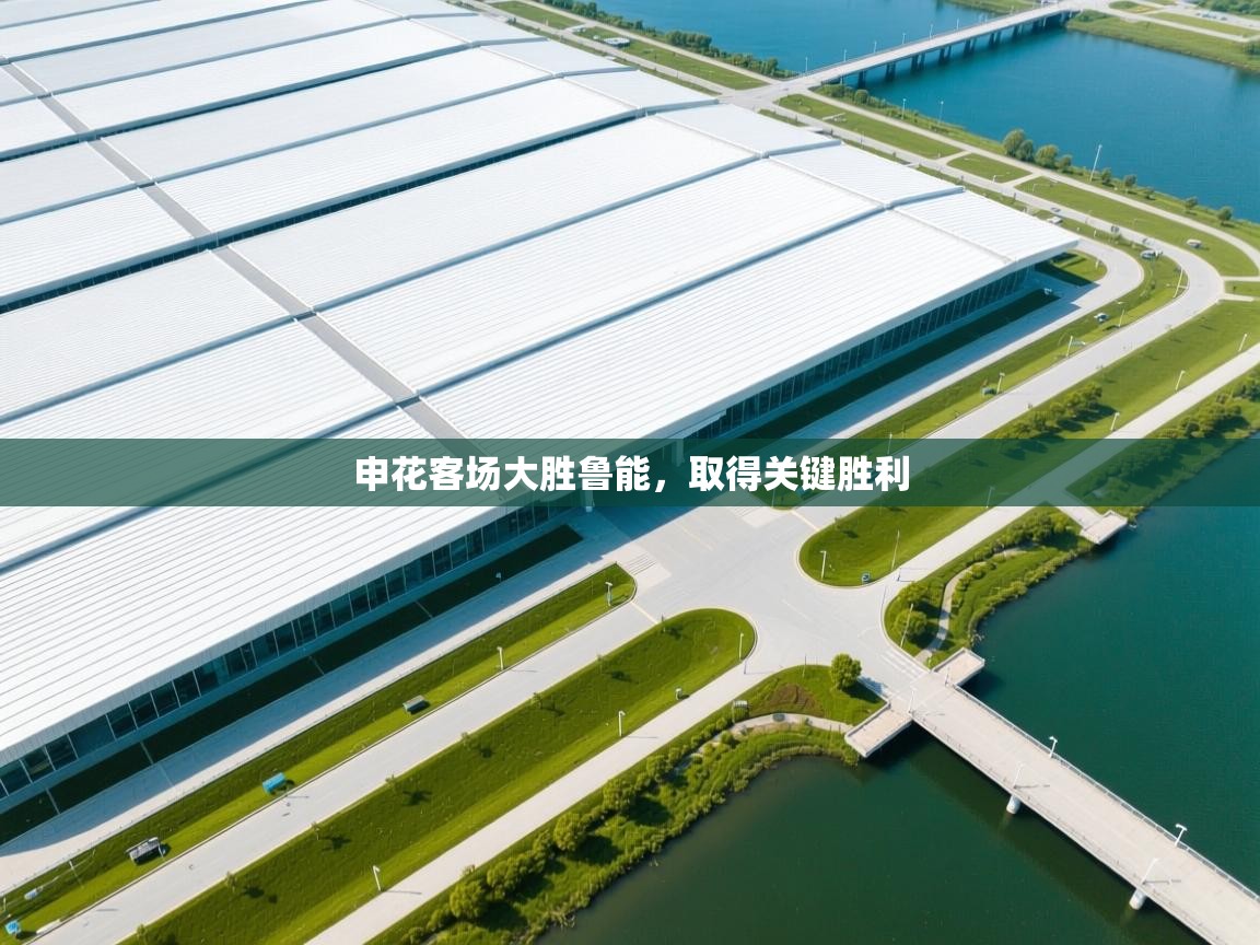 蓝鲸体育电脑版下载官网-申花客场大胜鲁能，取得关键胜利  第1张