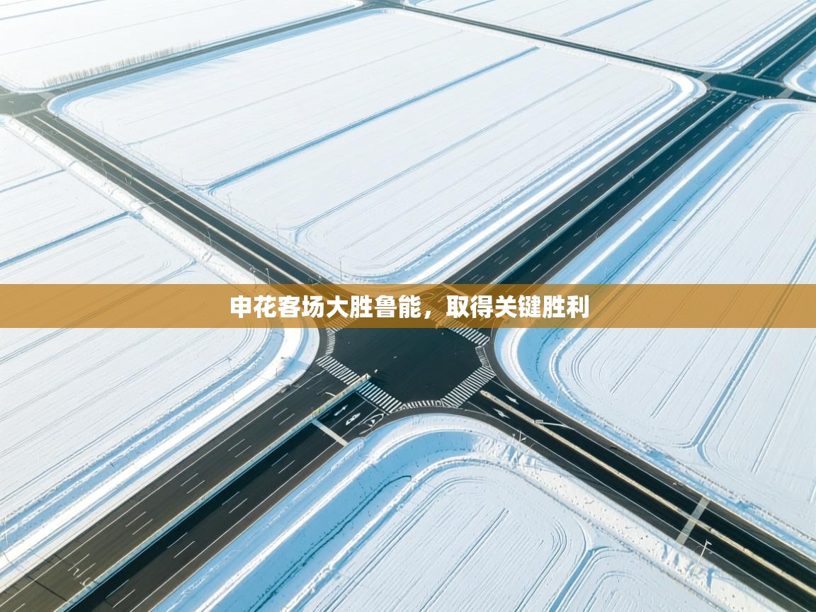 蓝鲸体育电脑版下载官网-申花客场大胜鲁能，取得关键胜利  第3张