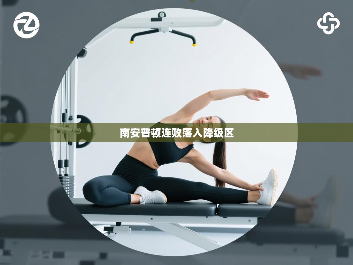 蓝鲸体育直播电脑版-南安普顿连败落入降级区  第4张