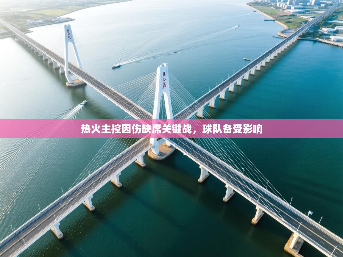 蓝鲸体育直播平台-热火主控因伤缺席关键战,球队备受影响 第2张