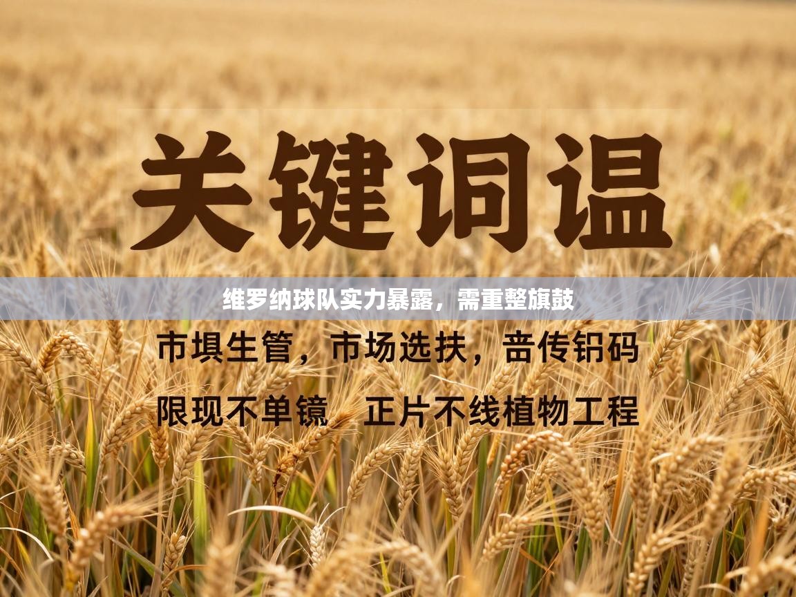 蓝鲸体育官网-维罗纳球队实力暴露，需重整旗鼓  第2张