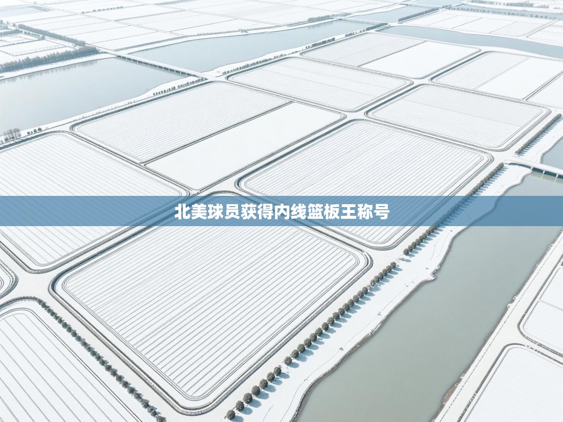 蓝鲸体育app安卓版-北美球员获得内线篮板王称号  第2张
