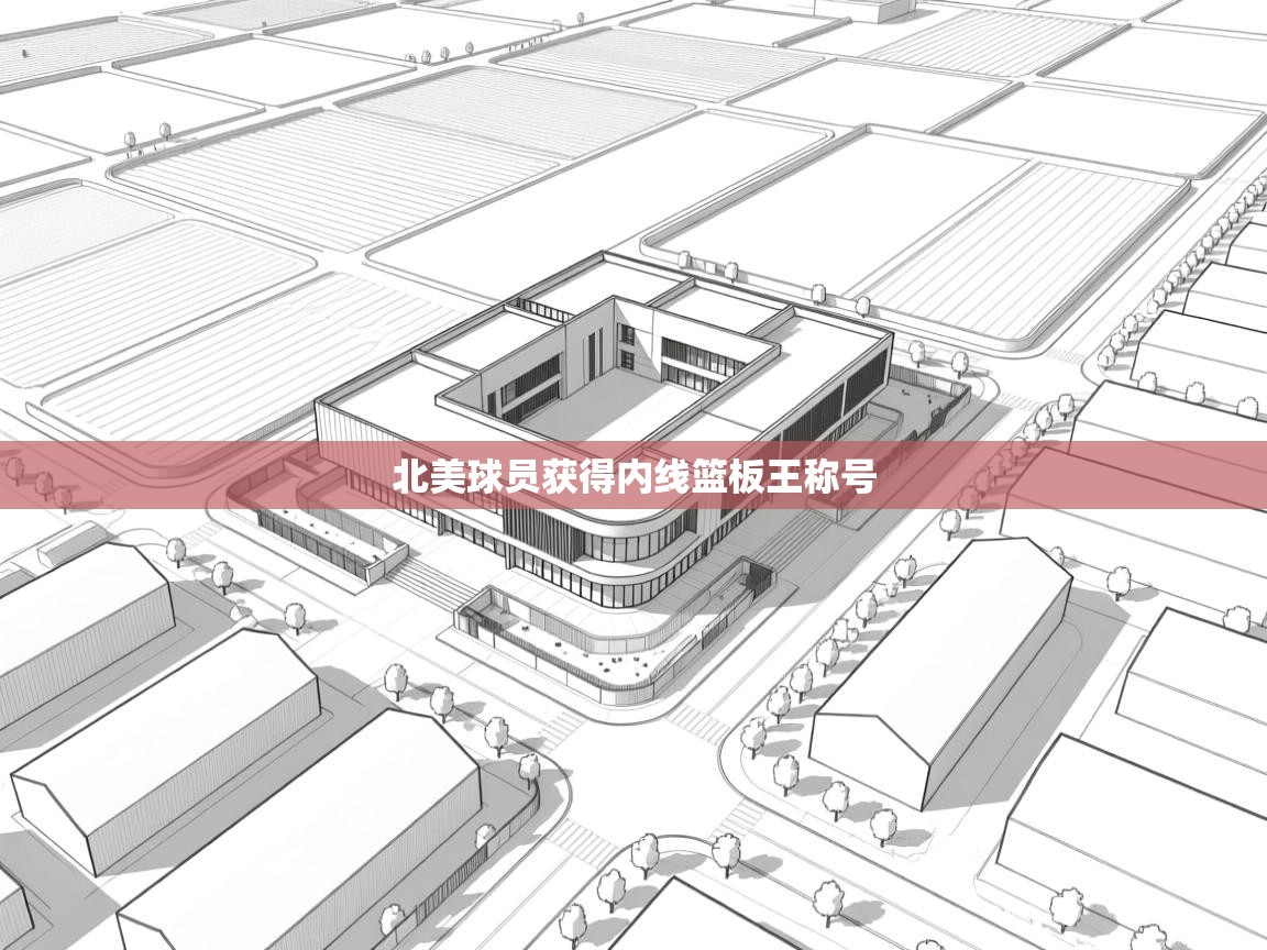 蓝鲸体育app安卓版-北美球员获得内线篮板王称号  第3张